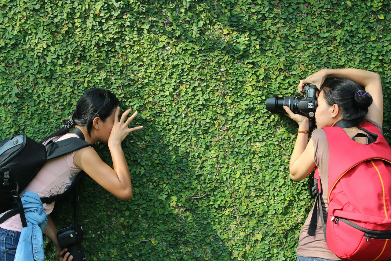 Deux personnes photographient devant un mur de lierre